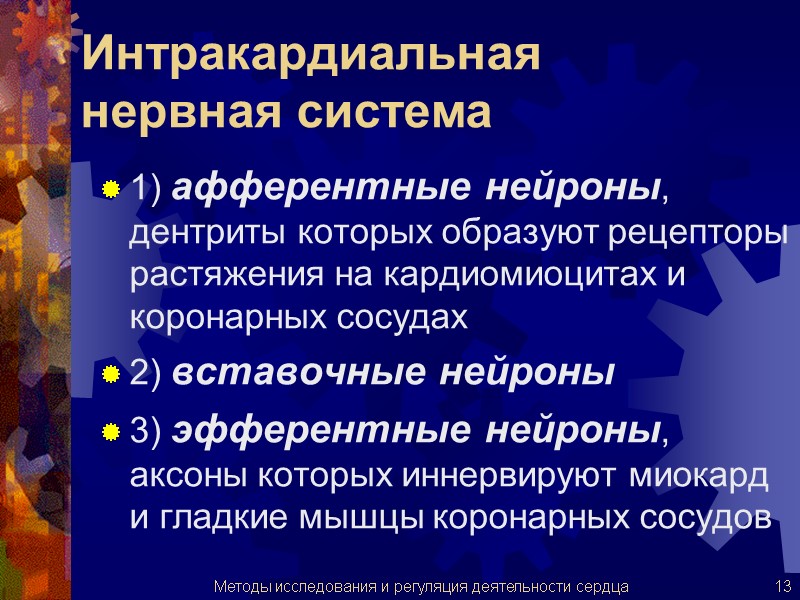 Интракардиальная  нервная система 1) афферентные нейроны, дентриты которых образуют рецепторы растяжения на кардиомиоцитах